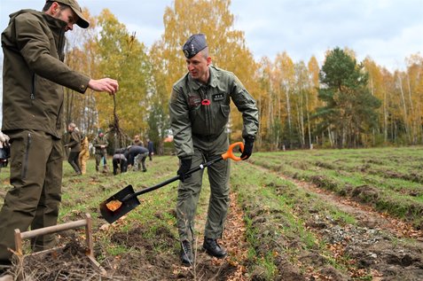 Sadzenie „Lasu Pamięci"
